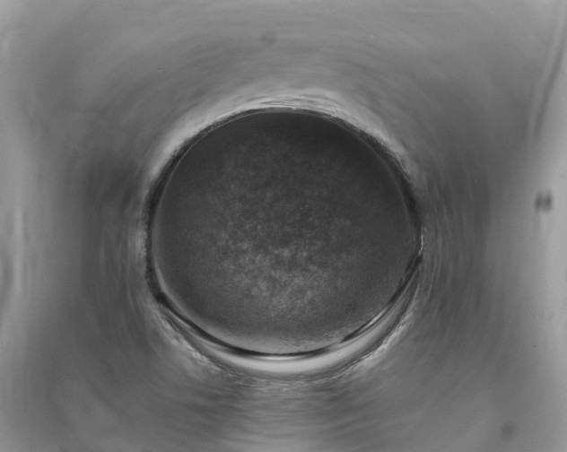 X0000091011506200708091550