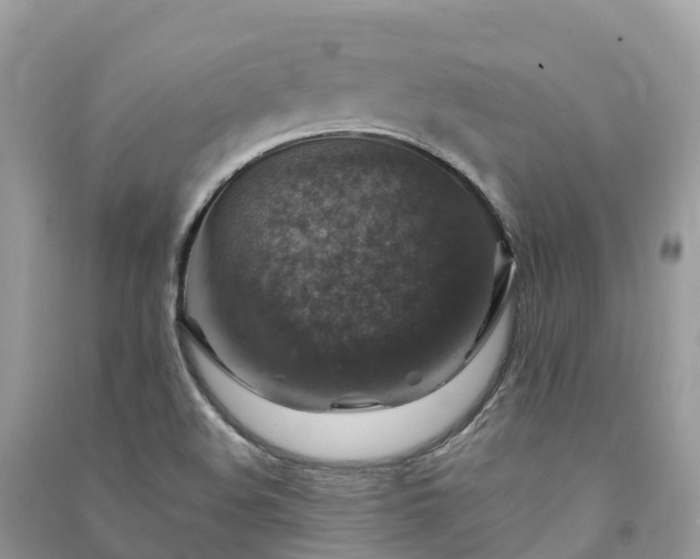 X0000091011508200708091550