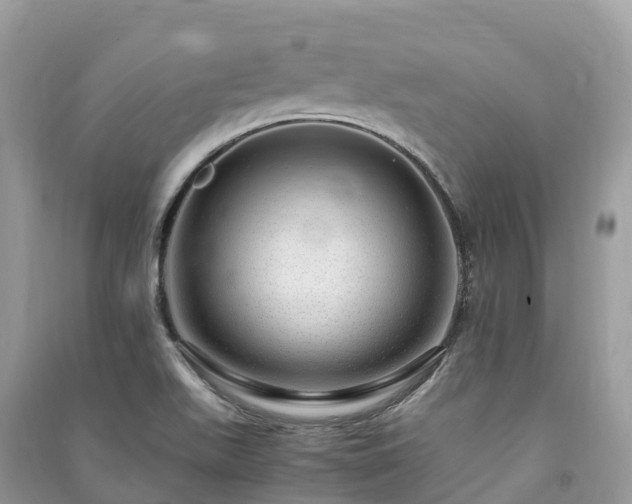 X0000091011511200708091550