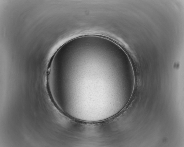 X0000091011512200708091550