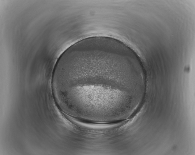 X0000091011513200708091550