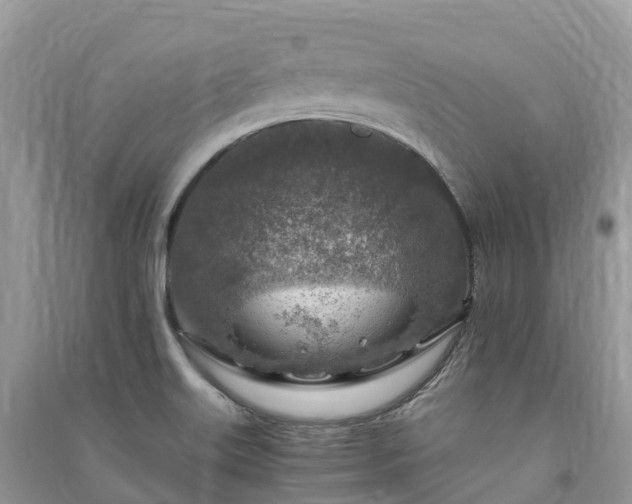 X0000091011515200708091550