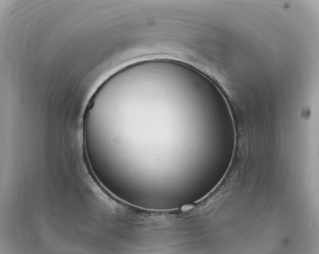 X0000091011516200708091550