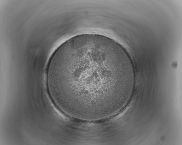 X0000091011517200708091550