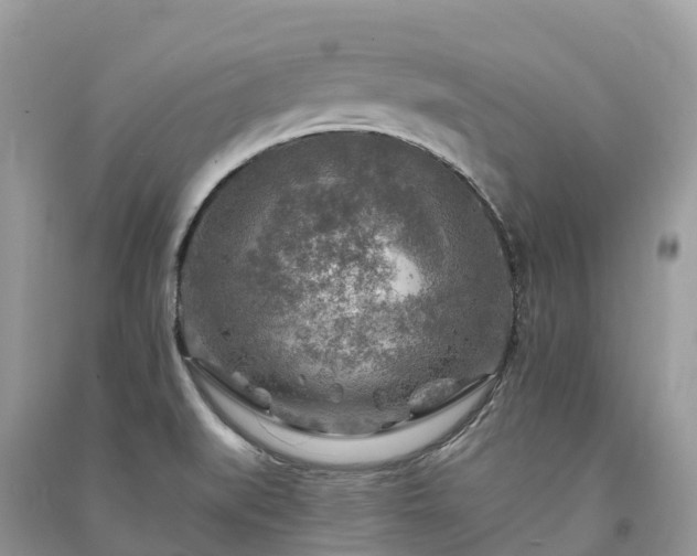 X0000091011519200708091550