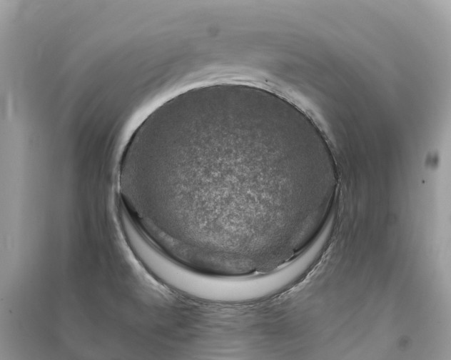 X0000091011520200708091550