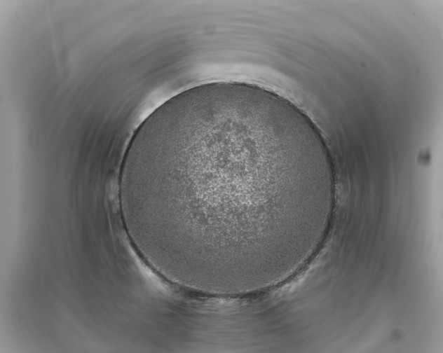 X0000091011521200708091550
