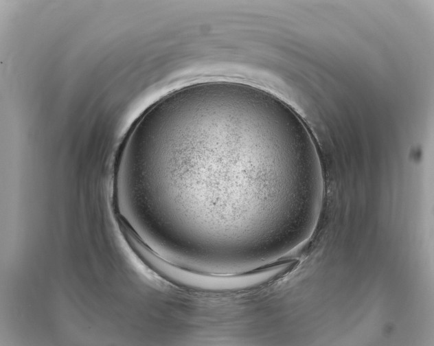 X0000091011523200708091550