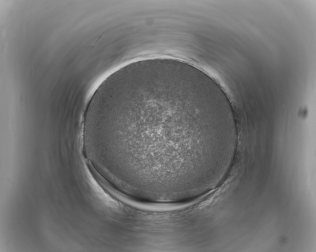 X0000091011524200708091550