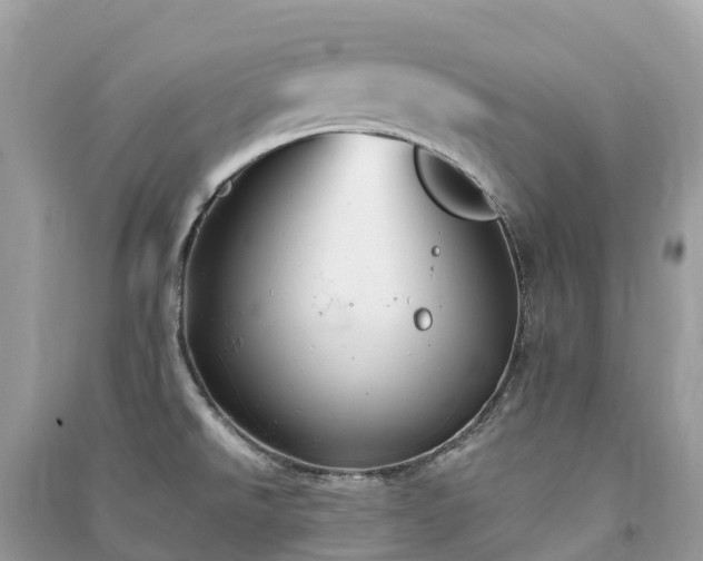X0000091011526200708091550