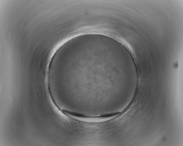 X0000091011528200708091550