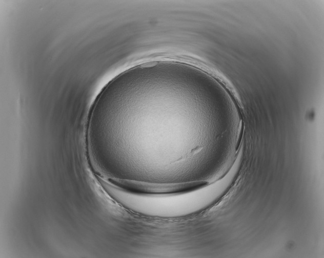 X0000091011530200708091550