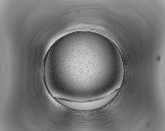 X0000091011531200708091550