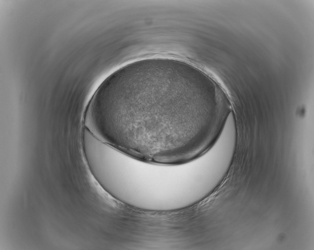 X0000091011532200708091551