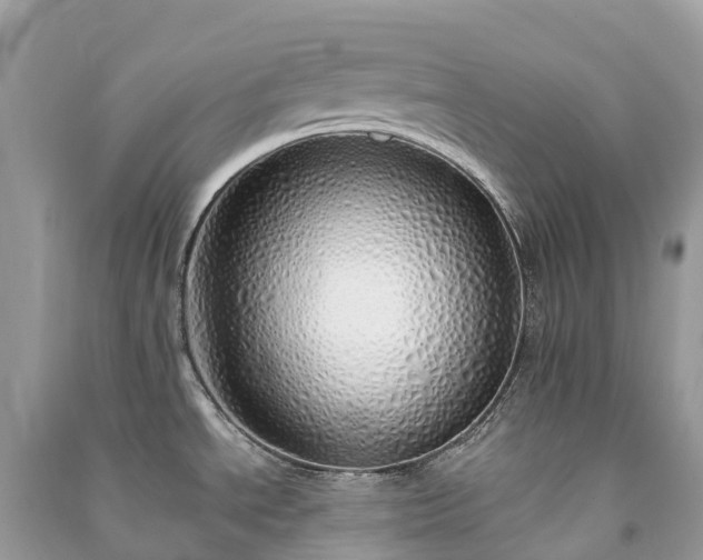 X0000091011534200708091551