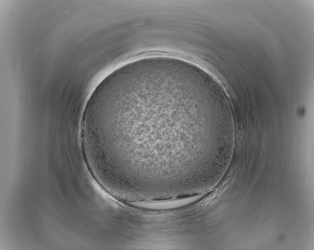 X0000091011535200708091551