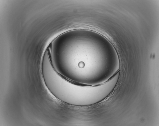 X0000091011536200708091551