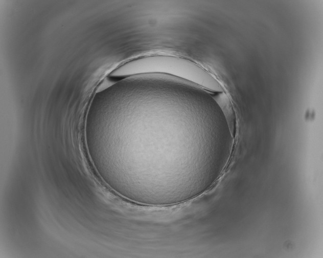 X0000091010001200708162007