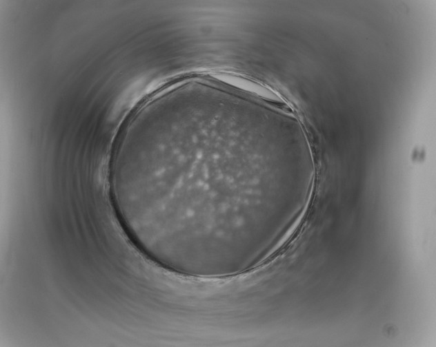 X0000091010002200708162007