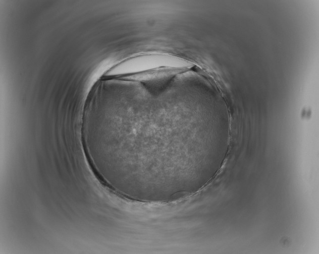 X0000091010003200708162007