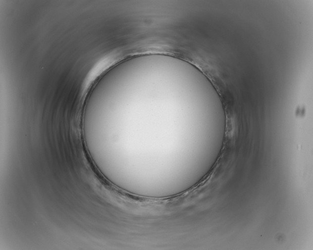 X0000091010004200708162007