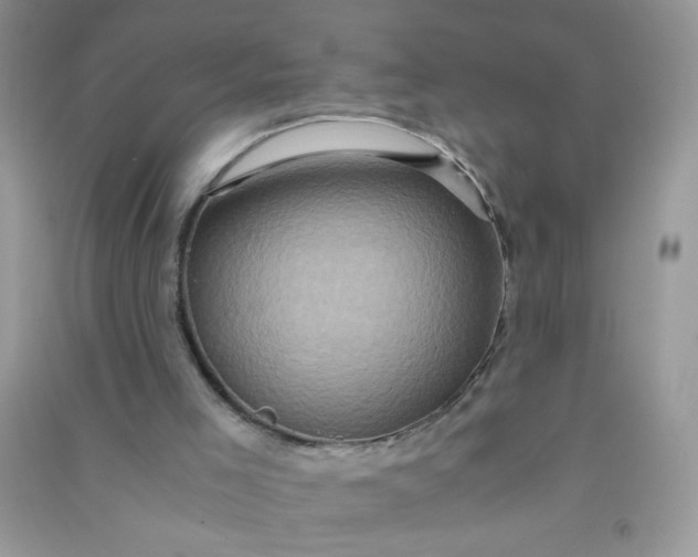 X0000091010005200708162007