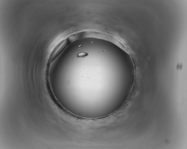 X0000091010007200708162007