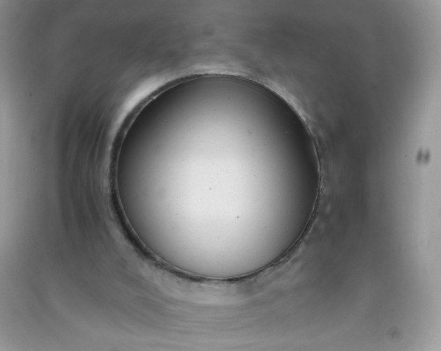 X0000091010008200708162007