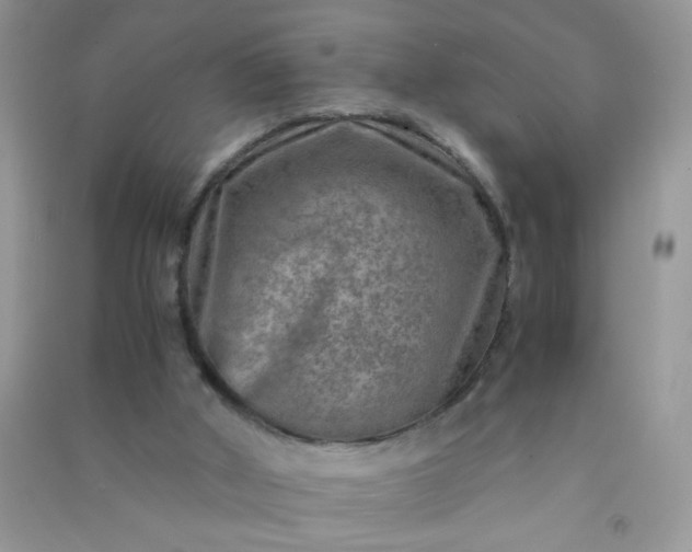 X0000091010010200708162007