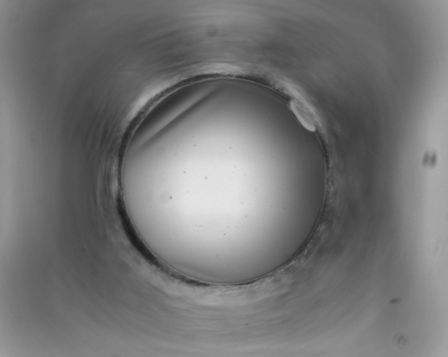 X0000091010011200708162007