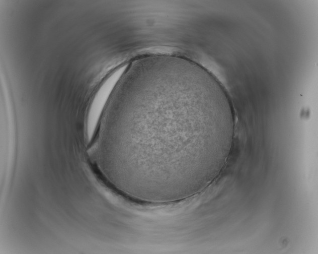 X0000091010013200708162007