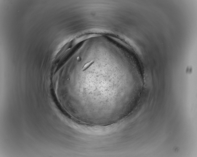 X0000091010015200708162007