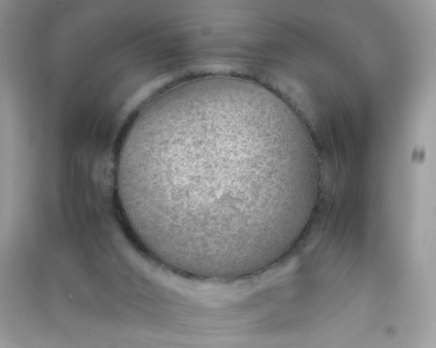 X0000091010016200708162007