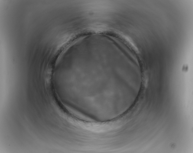 X0000091010018200708162007