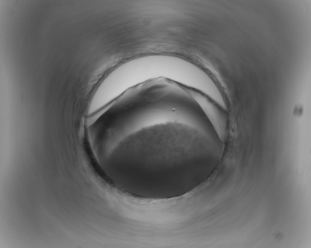 X0000091010019200708162007