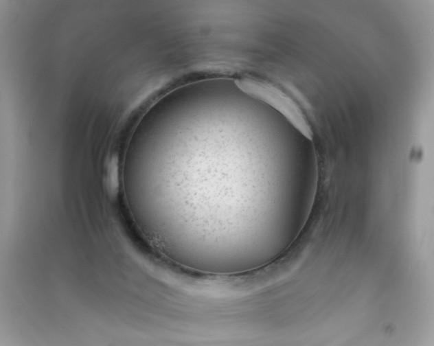 X0000091010020200708162007