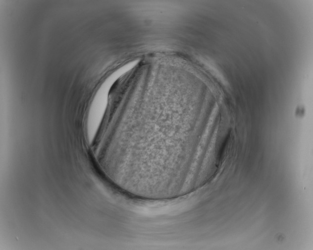 X0000091010021200708162007