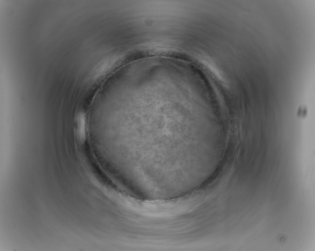 X0000091010022200708162007