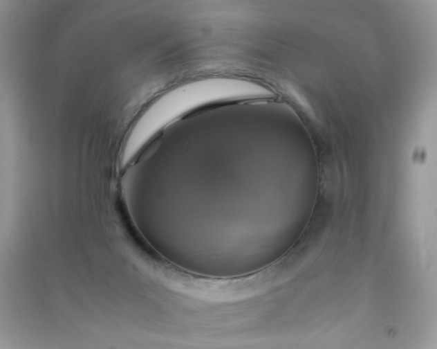 X0000091010023200708162007