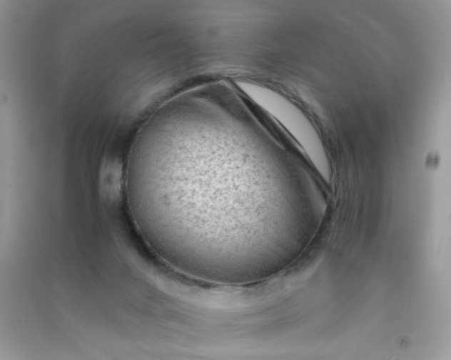 X0000091010024200708162007