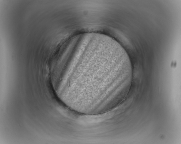 X0000091010025200708162007