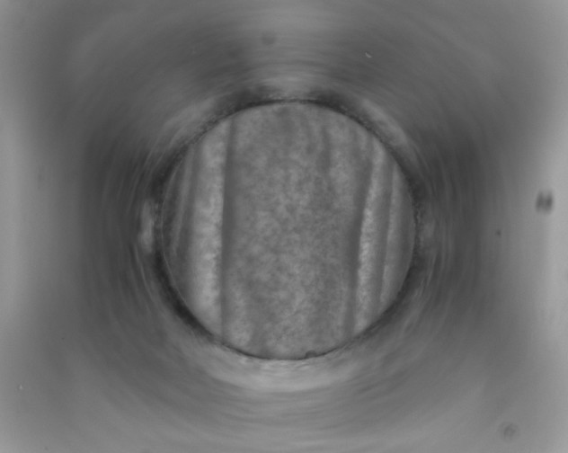 X0000091010026200708162007