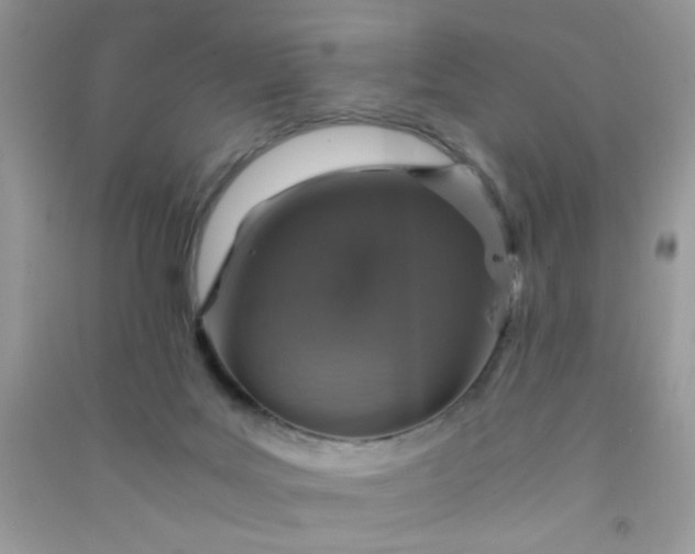 X0000091010027200708162007