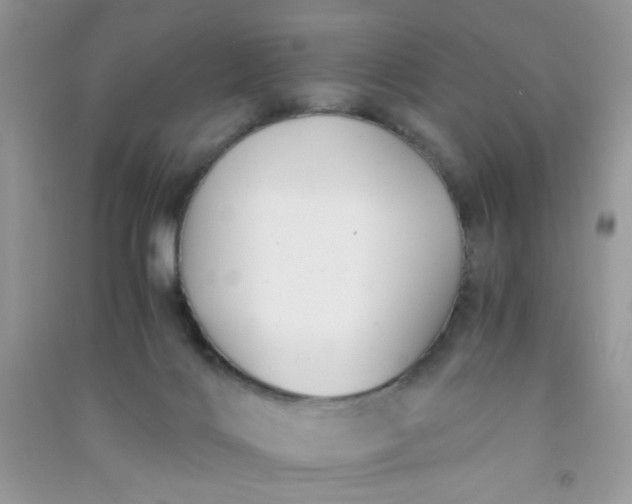 X0000091010028200708162007