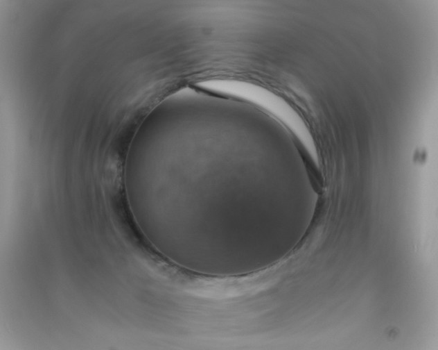 X0000091010029200708162007