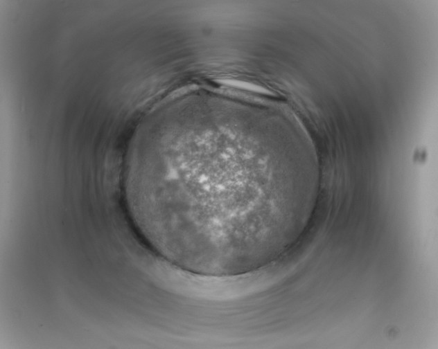 X0000091010030200708162007