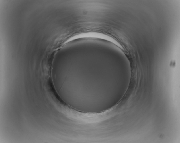 X0000091010031200708162007