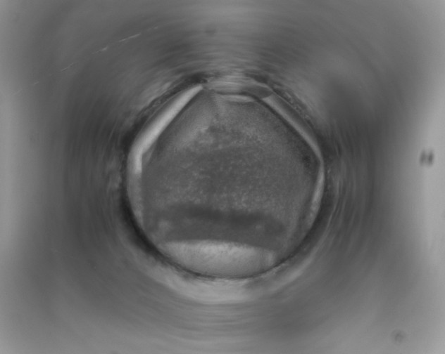 X0000091010032200708162007