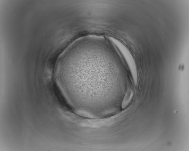 X0000091010033200708162007