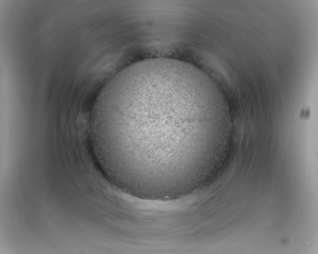 X0000091010034200708162007